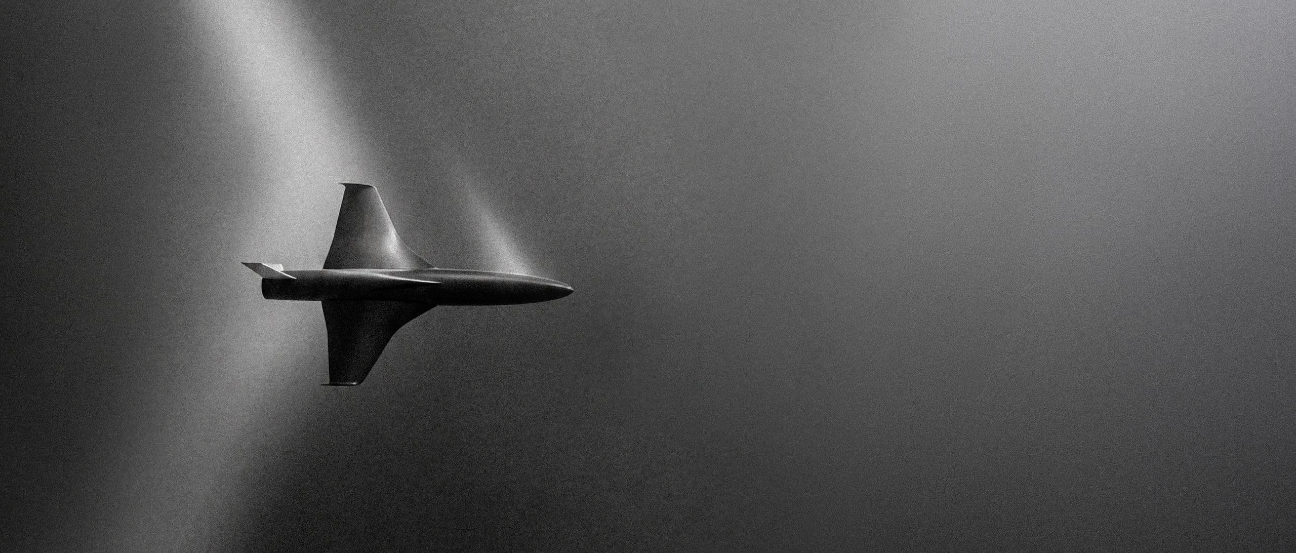 Black Bird en vol